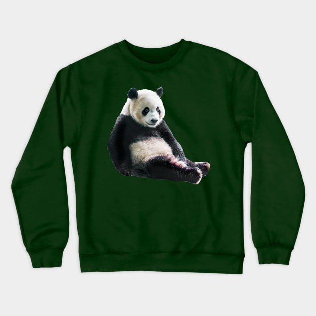 Pondering Panda Crewneck Sweatshirt by dalyndigaital2@gmail.com